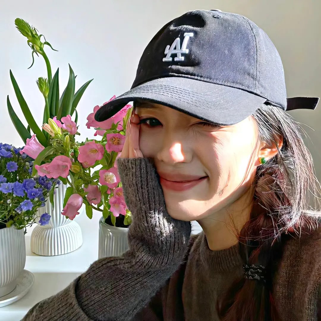 蜘蛛王国